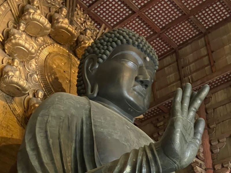 東大寺 大仏（横から）
